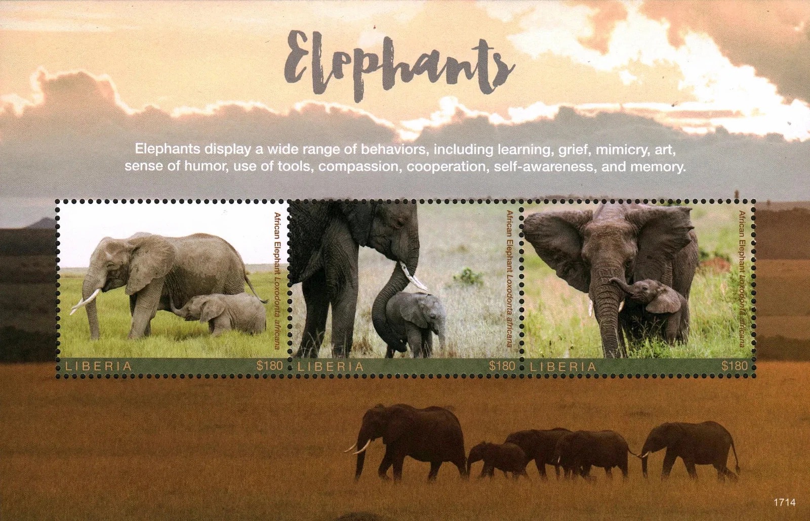 Liberia 2017 Elephant M/S MNH