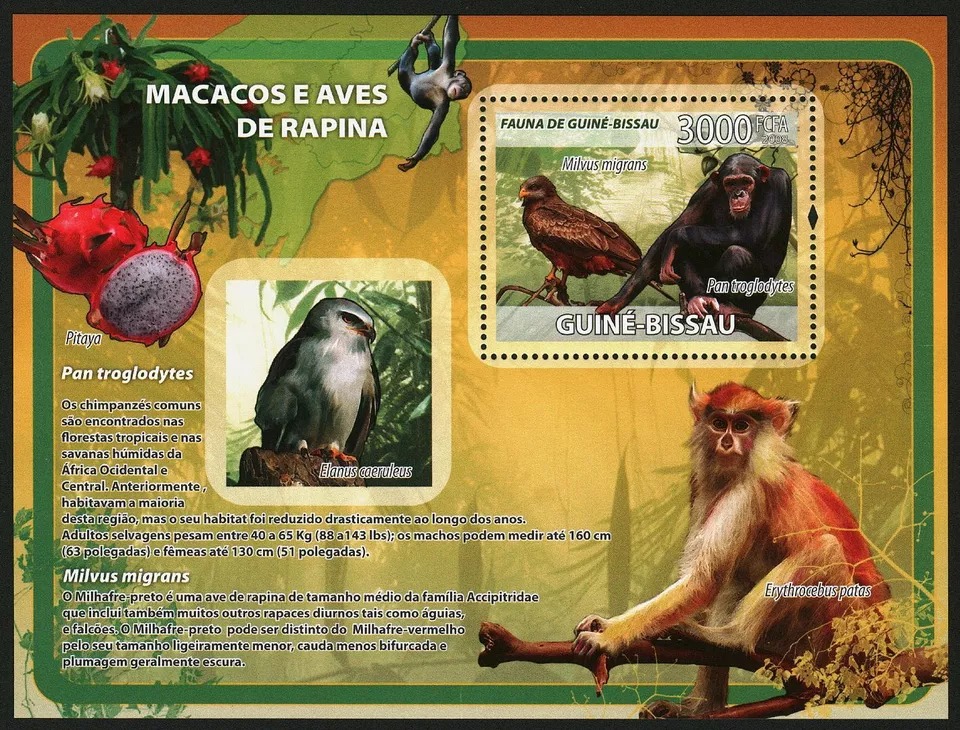 Guinea Bissau 2008 Monkeys And Birds Of Prey M/S MNH