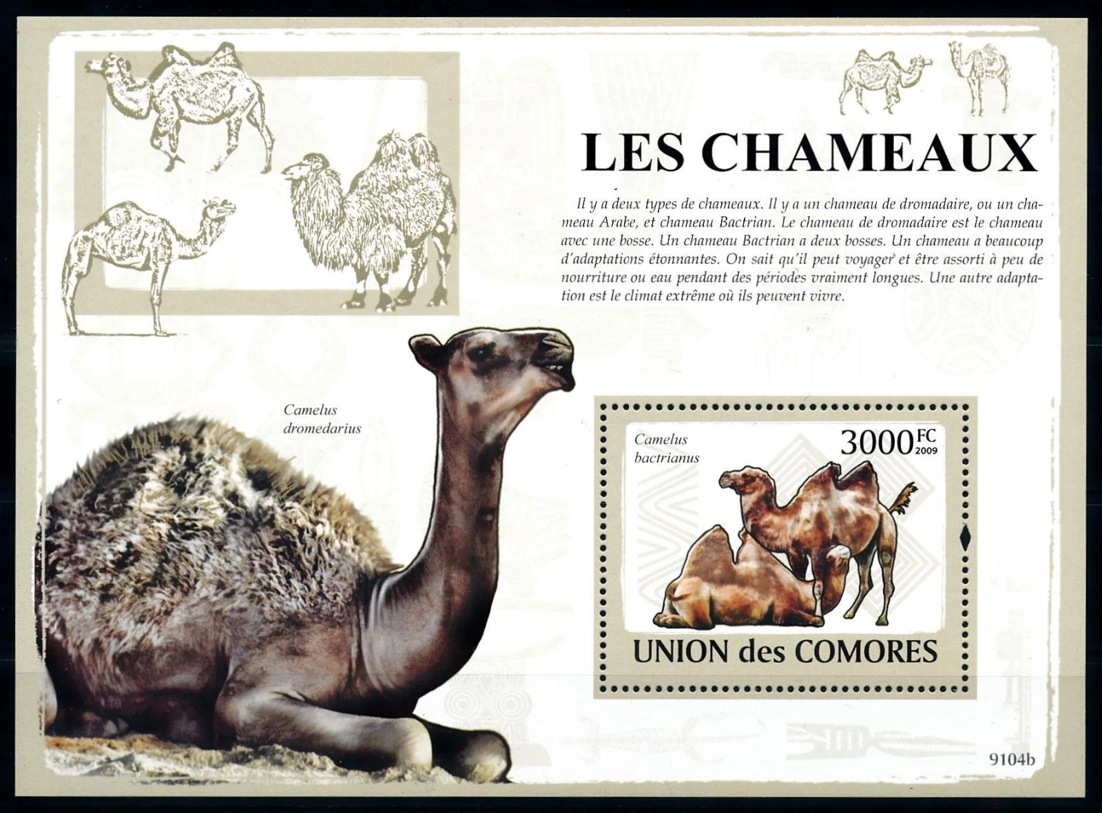 comores 2009 Wild Life Camels M/S MNH