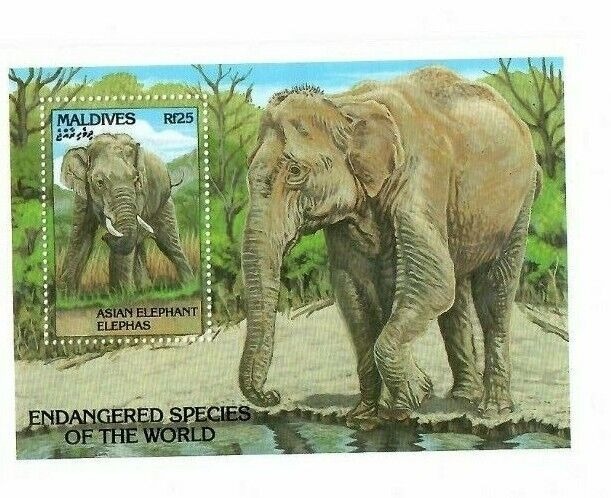 Maldives 1993 Elephants M/S MNH