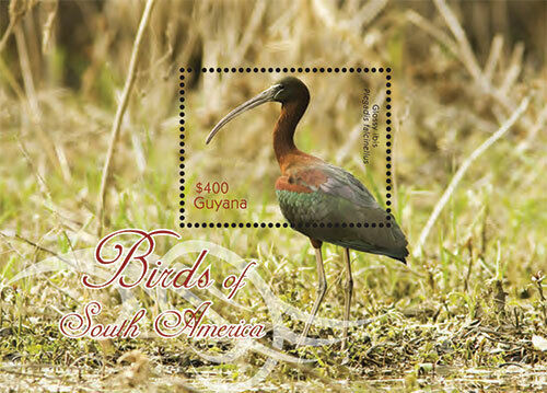 Guyaan 2012 Birds Of South America Stamps M/S MNH