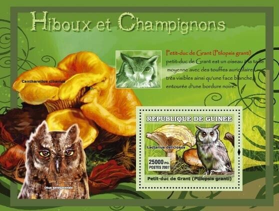 Guinee 2007 Owls Birds Mushrooms M/S MNH