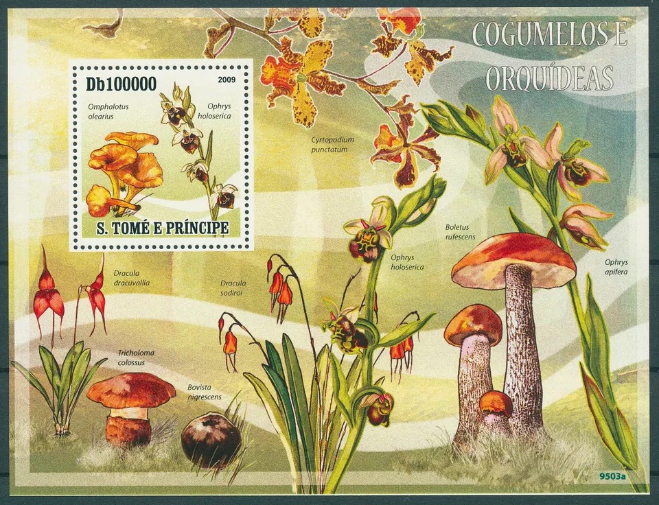 Sao Tome 2009 Mushrooms & Orchids M/S MNH
