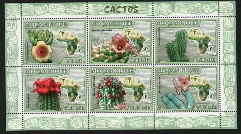 Mozambique 2009 Cactus Flowers M/S MNH