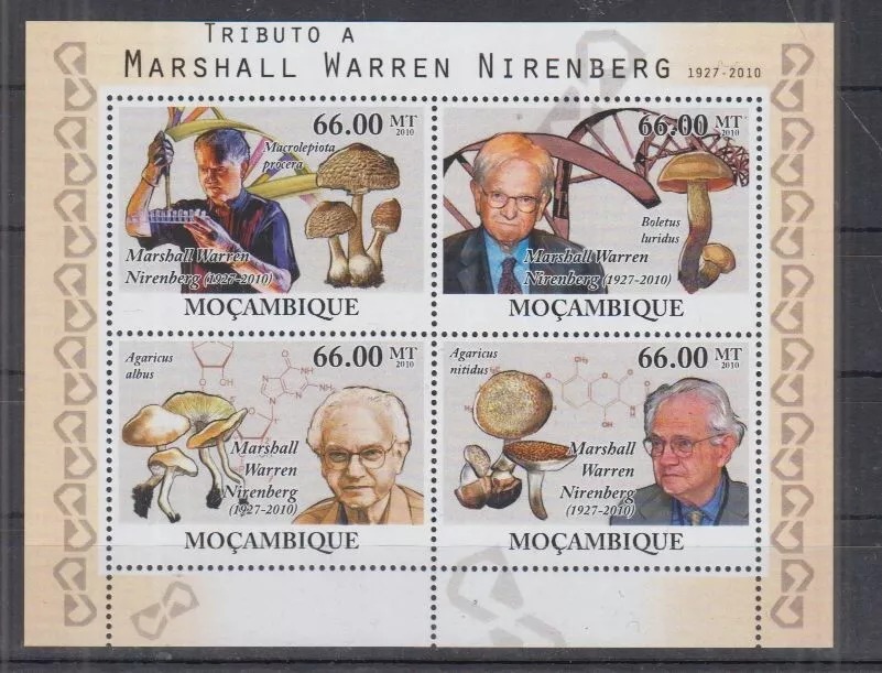 Mozambique 2010 Mushrooms M/S MNH