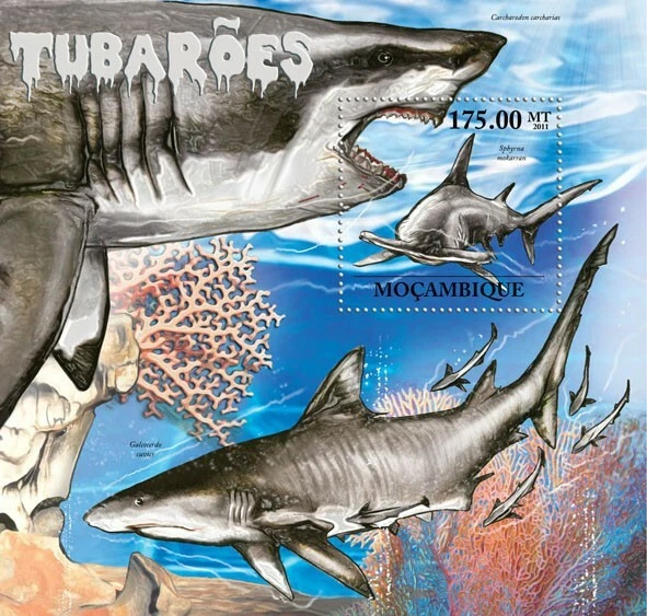 Mozambique 2011 Sharks M/S MNH