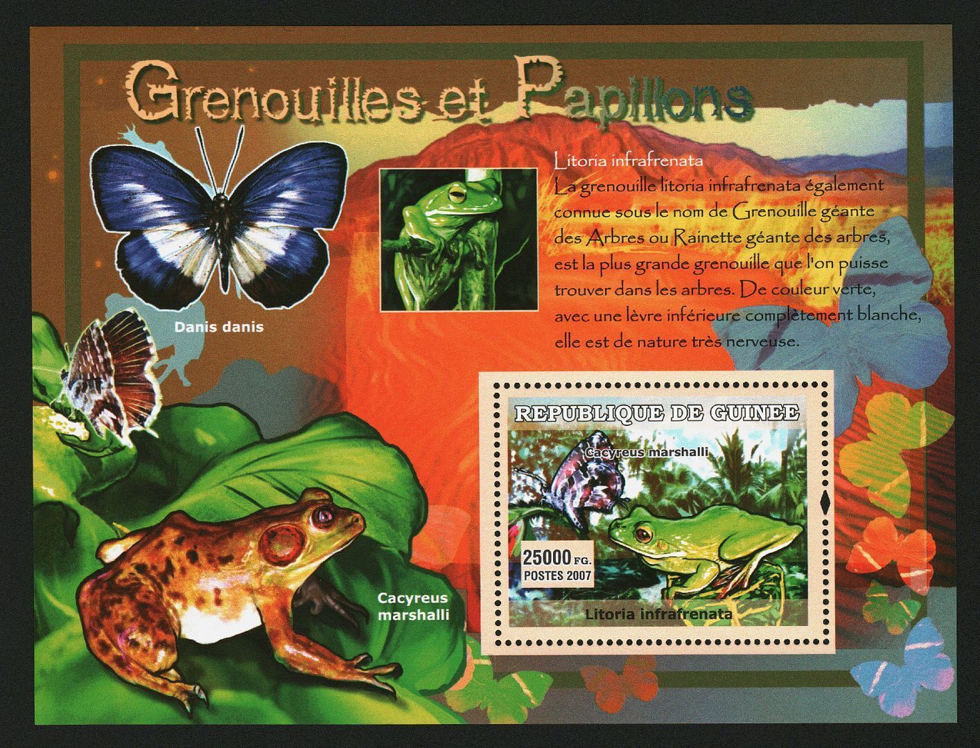 Guinee 2007 Frogs And Butterflies M/S MNH