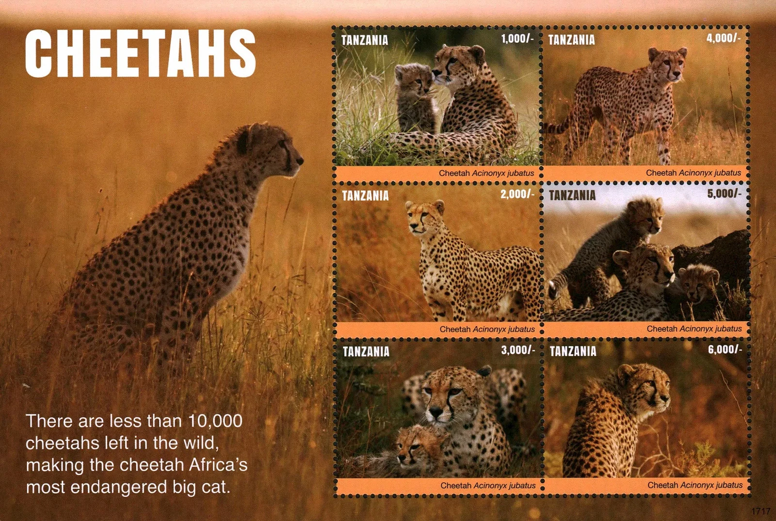 Tanzania 2017 Cheetahs Wild Cat M/S MNH