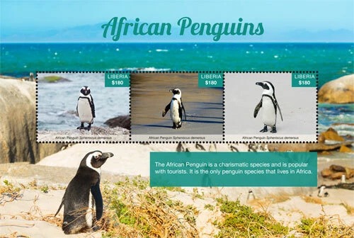 Liberia 2017 African Penguins  M/S MNH