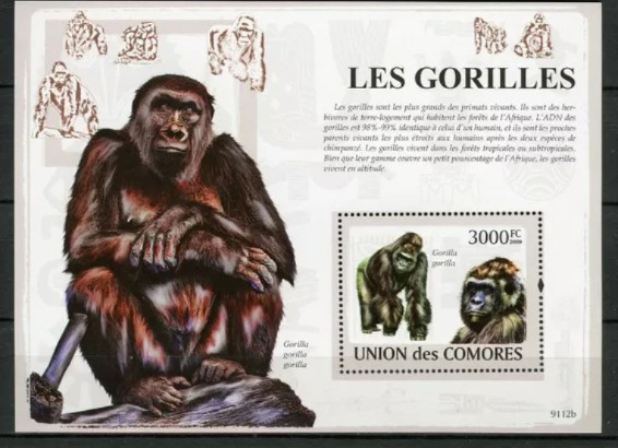 Comores 2009 Gorilles Wild Animals M/S HMN