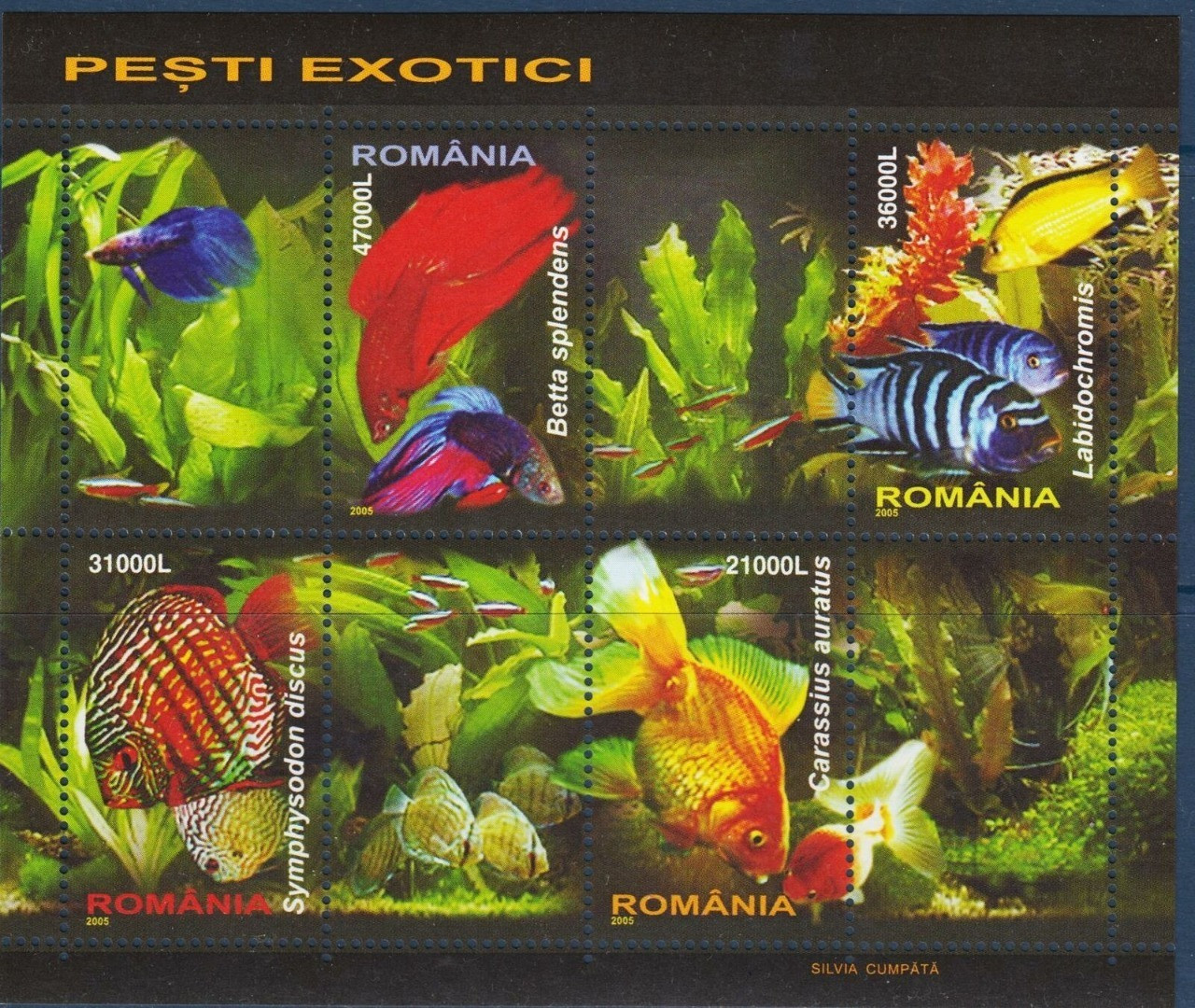 Romania 2005 Tropical Fish Nature Goldfish Freshwater Exotic Pets ,Fishes Marine Life M/S MNH