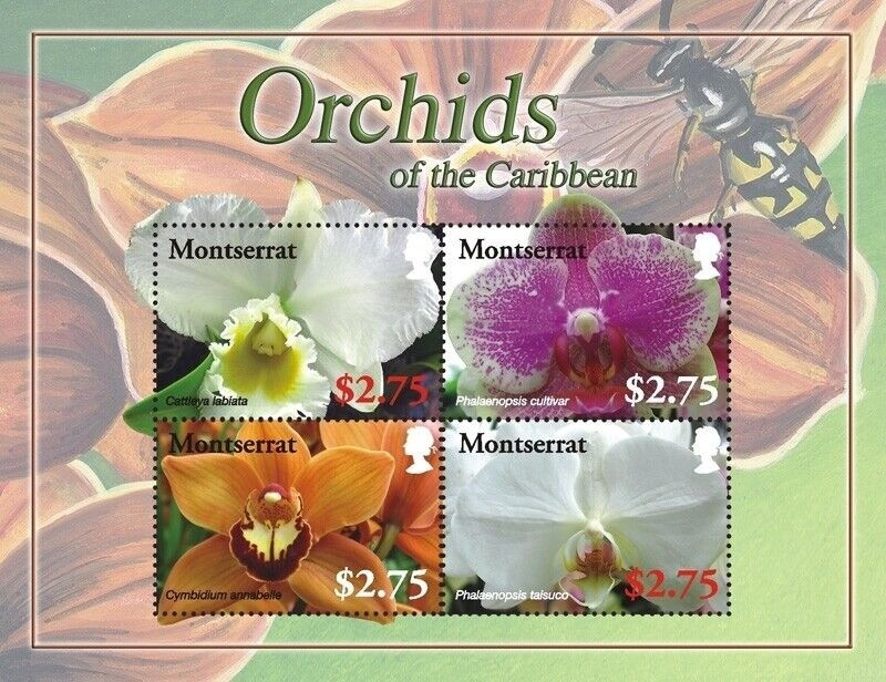 Montserra 2008 Orchids of The Caribbean M/S MNH