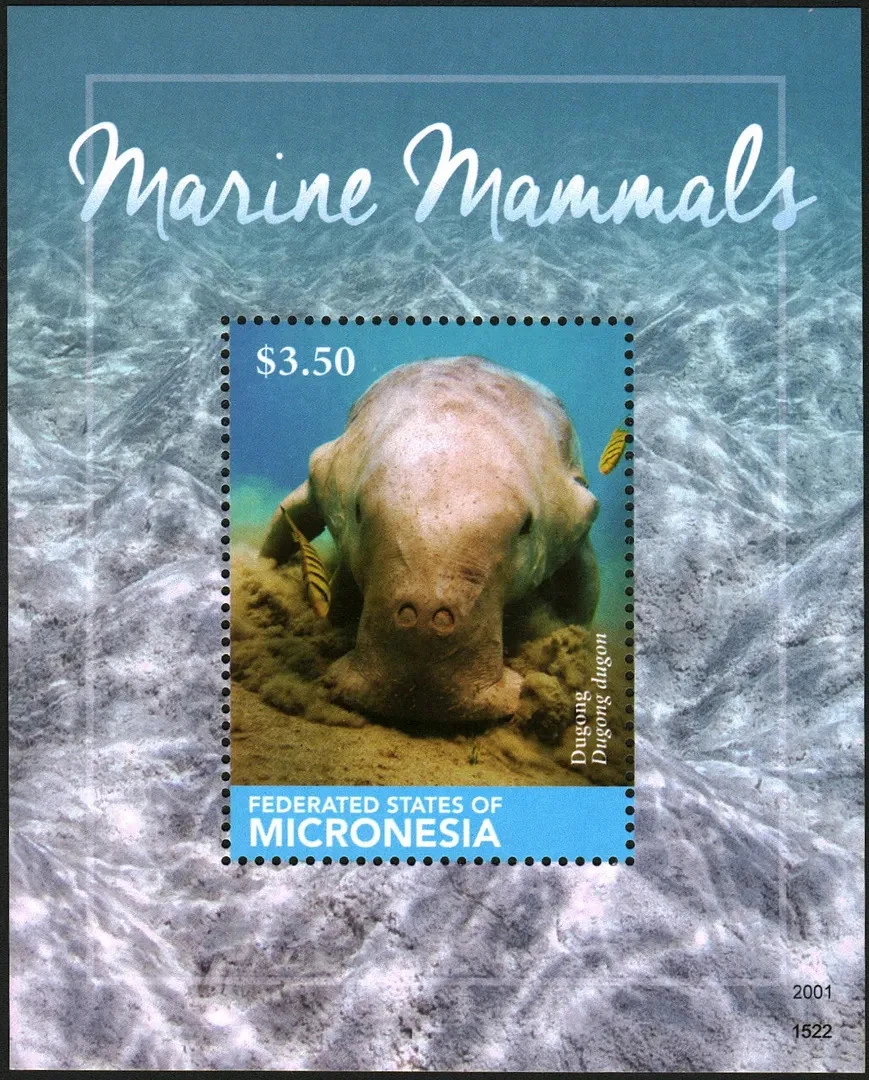 Micronesia 2015 Mammals Marine Life M/S MNH