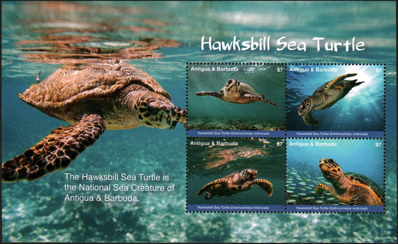Antigua Barbuda 2017 Hawksbill Sea Turtle M/S MNH