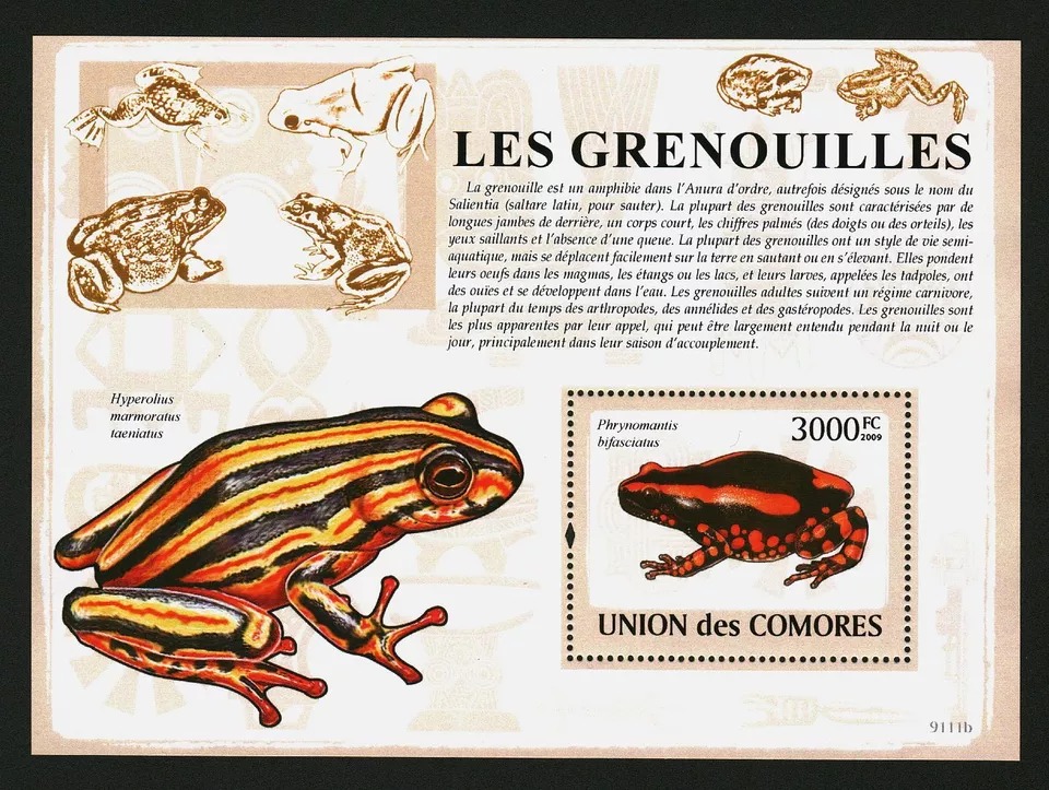 Comores 2009 Frogs M/S MNH