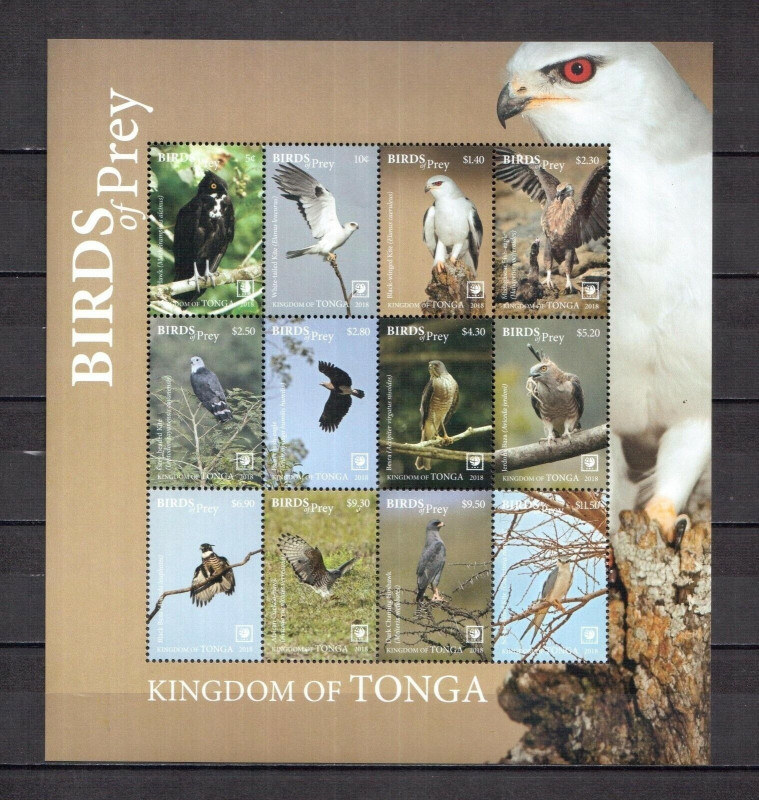 Tonga 2018 Birds of Prey Owls M/S MNH