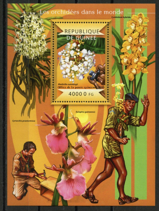 Guinee 2015 Scouts And Orchids M/S MNH