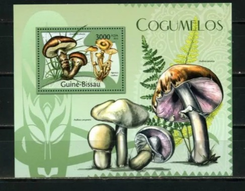 Guinea Bissau 2012 Mushroom M/S MNH