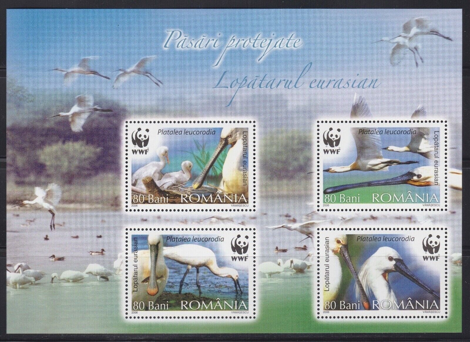 Romania 2006 Birds Eurasian Spoonbill WWF M/S MNH