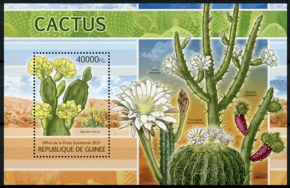 Guinee 2013 Plants Cactus Flowers Flora M/S MNH