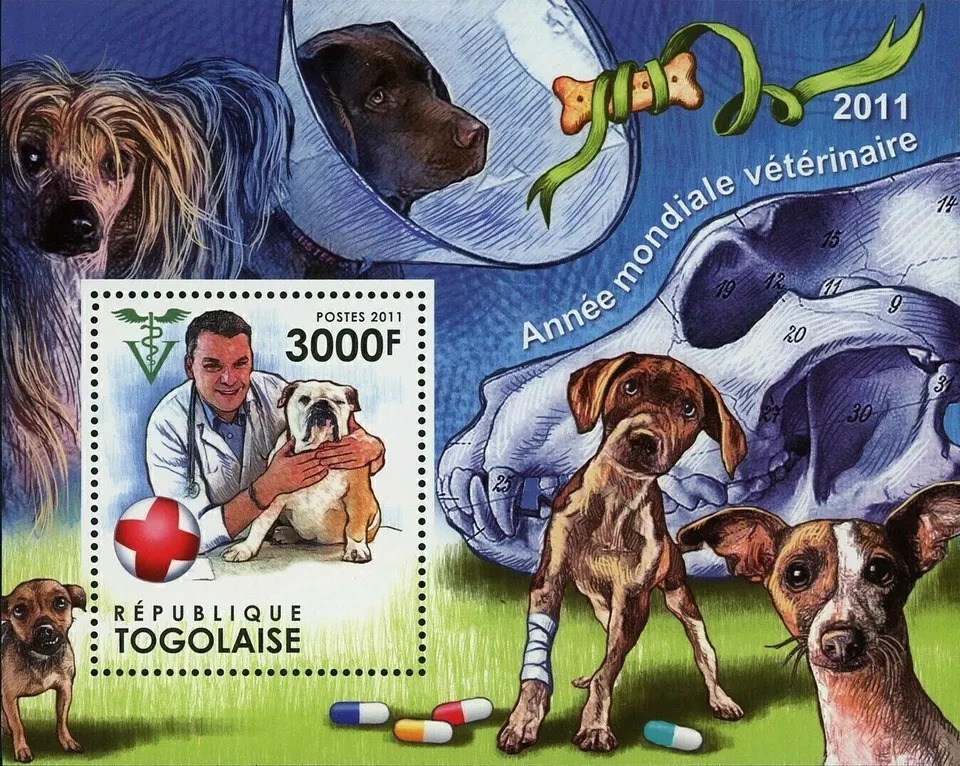 Togo 2011 Dogs Medicine First Aid Animals Stamps M/S MNH