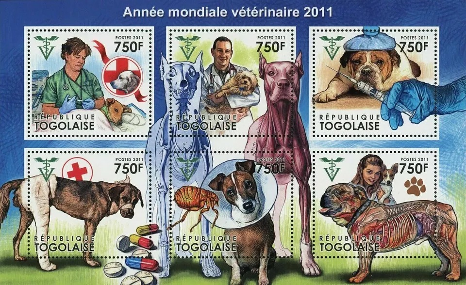 Togo 2011 Dogs Pet Domestic Animal Stamps M/S MNH