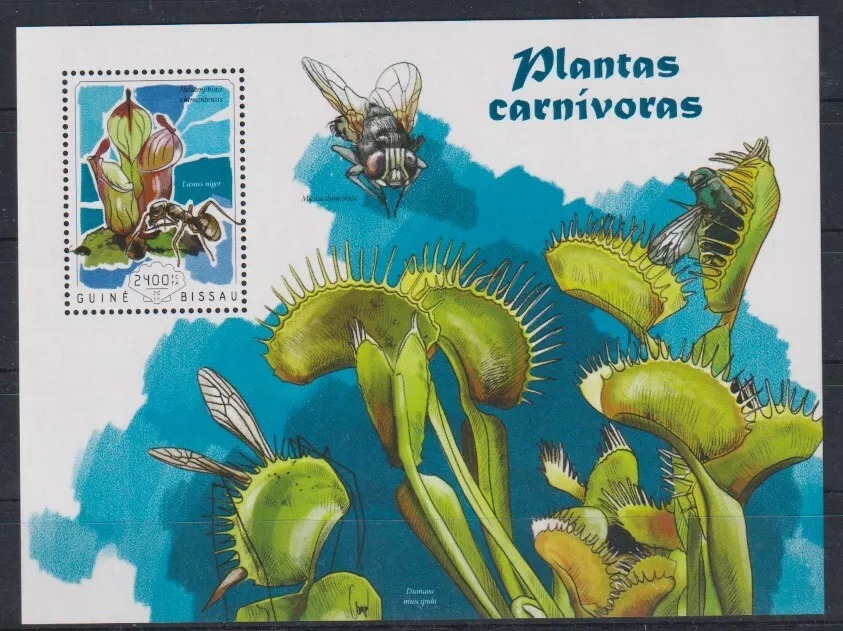 Guinea Bissau 2016 Nature Plants M/S MNH