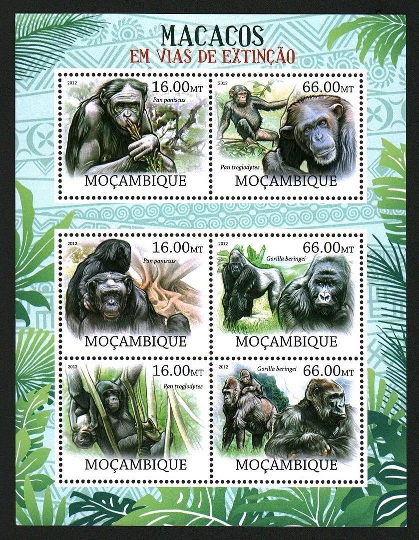 Mozambique 2012 Monkey On The End Of Extinction M/S HMN