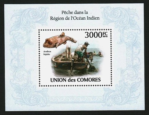 Comoros 2010 Fishing In Indian Ocean Region M/S MNH