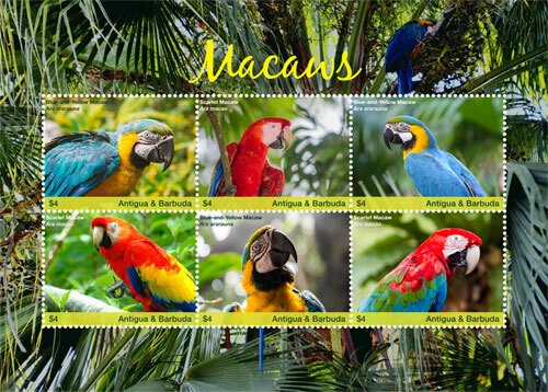 Antigua Barbuda 2017 Macaws Parrot Birds M/S MNH