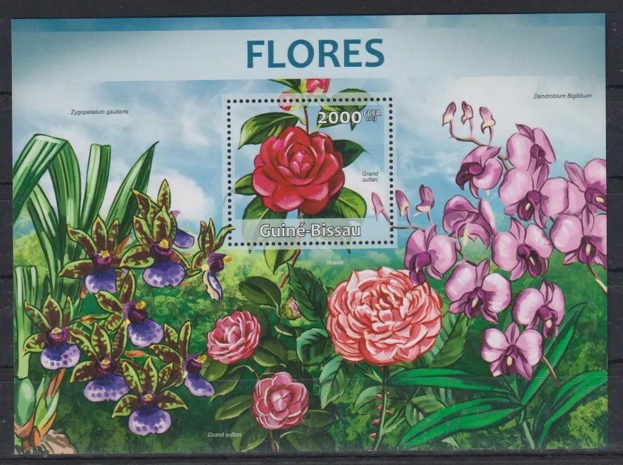 Guinea Bissau 2013 Flowers Orchids M/S MNH