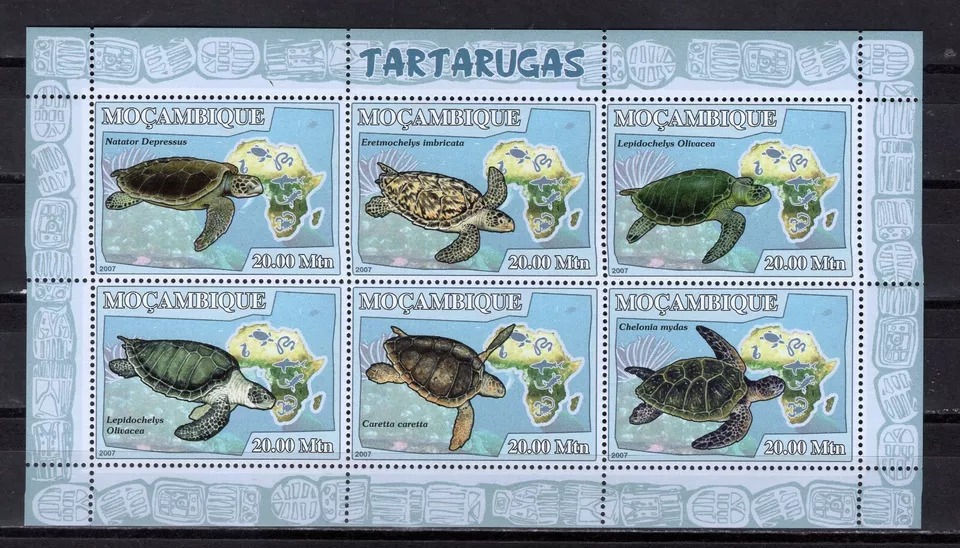 Mozambique 2007 Turtle M/S MNH