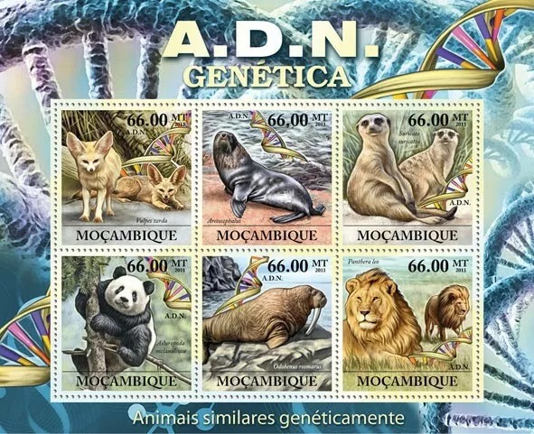 Mozambique 2011 A.D.N Genetically Similar Animals M/S HMN