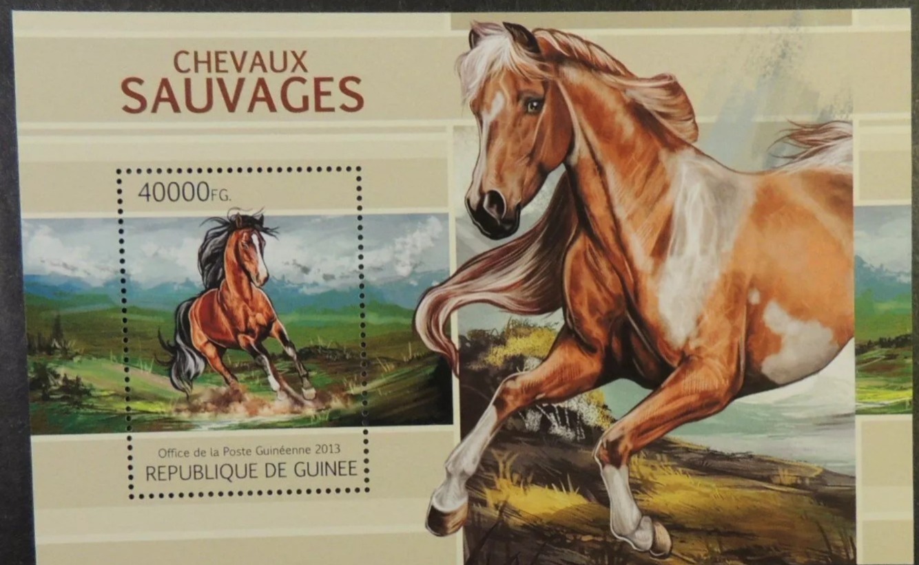 Guinee 2013 Horses Animals M/S MNH