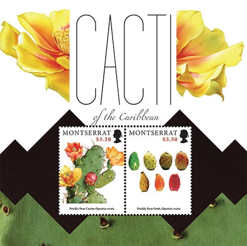 Montserrat 2012 Cactus Of The Caribban M/S MNH