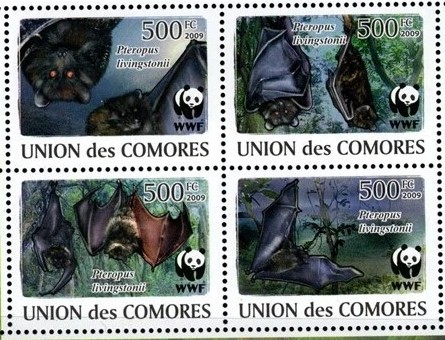 comores 2009 Bat M/S MNH