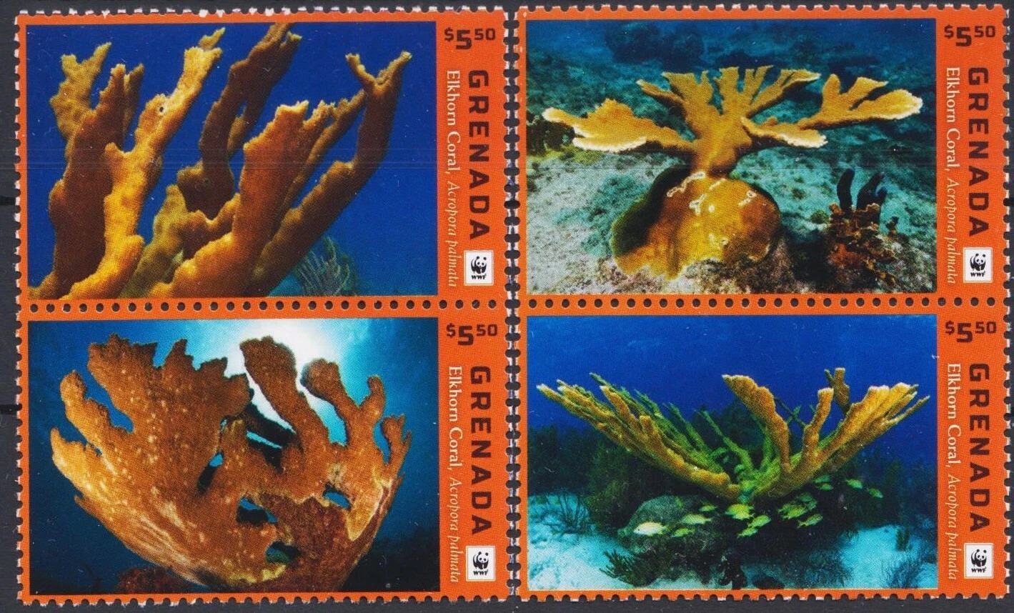 Grenada 2016 Corals Marine Life WWF 4v Set MNH