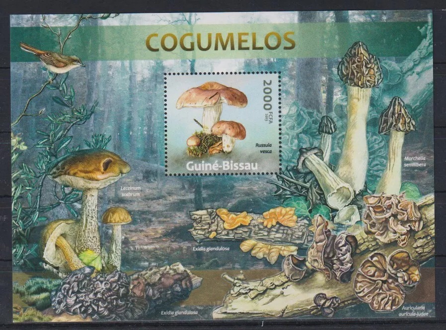 Guinea Bissau 2013 Mushrooms M/S MNH