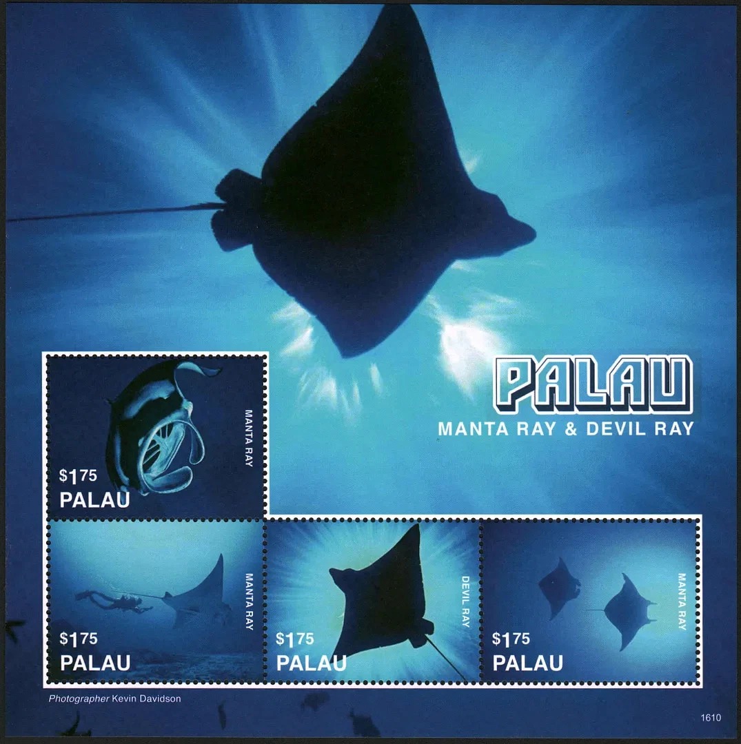 Palau 2016 Manta Rays Marine Life M/S MNH