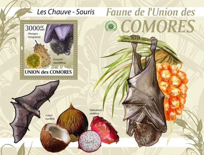 Comores 2009 Bats M/S MNH