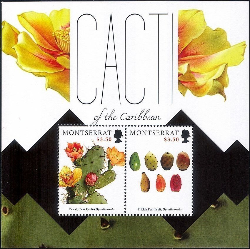 Montserrat 2012 Prickly Pear Cactus Flowers Plants M/S MNH