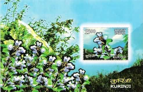 India 2006 Kurinji Flower Miniature Sheet MNH