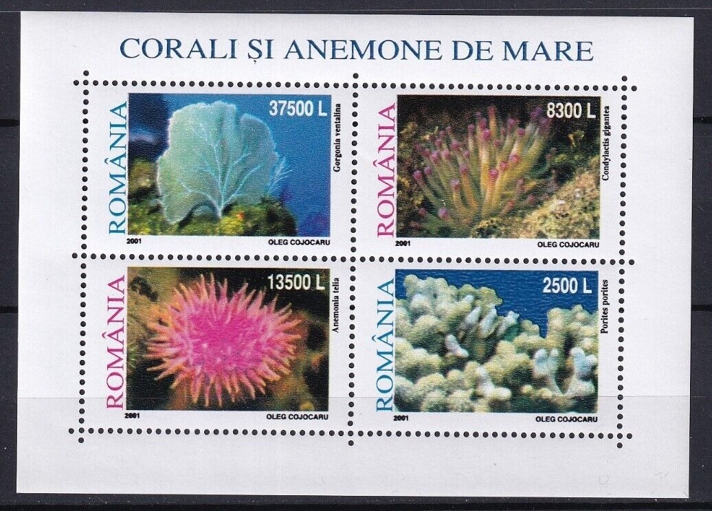 Romania 2002 Corals Si Anemone De Mare M/S MNH