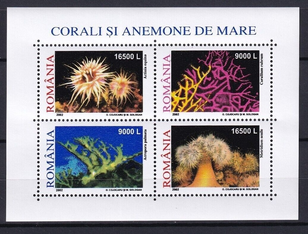 Romania 2002 Corals M/S MNH -
