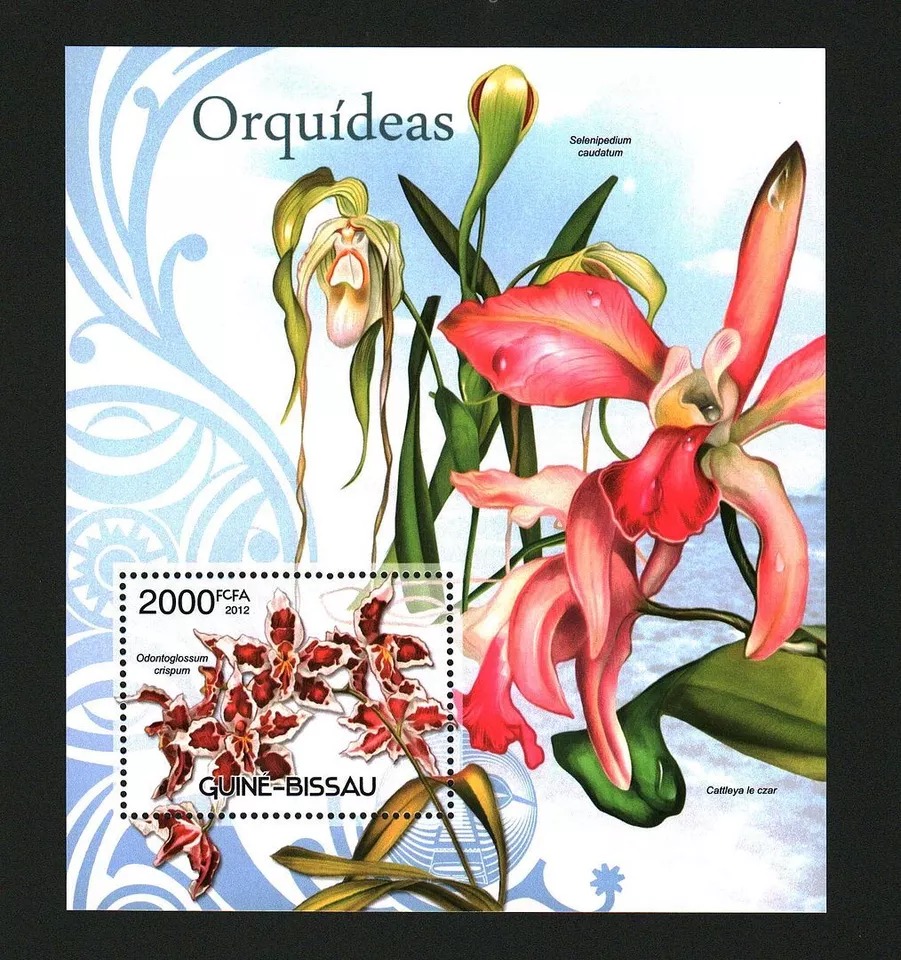 Guinea Bissau 2012 Orchids Flowers M/S MNH