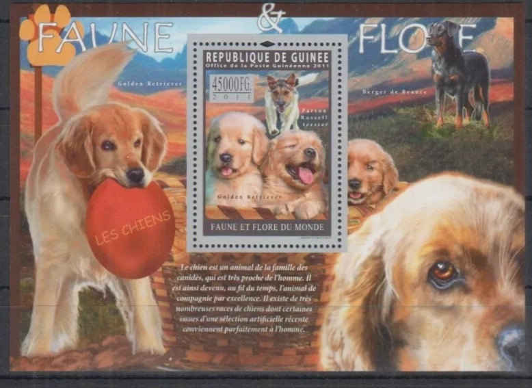 Guinee 2011 Dogs M/S HMN