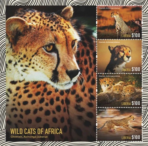 Liberia 2015 Wild Cats Of Africa M/S MNH