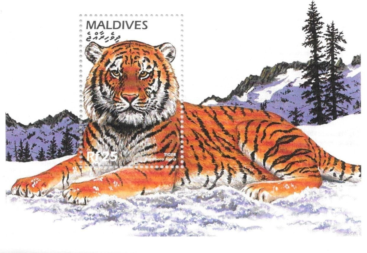 Maldives 1996 Tiger Wild Cat Stamps M/S MNH