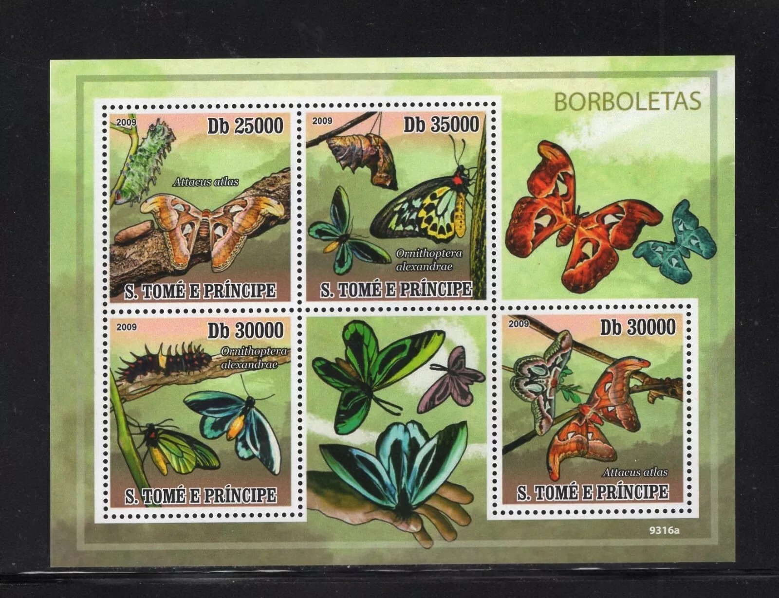 Sao Tome 2009 Butterflies M/S MNH