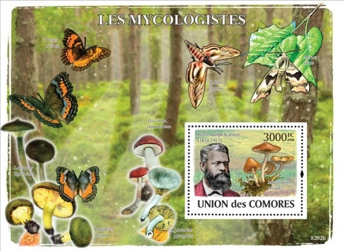 Comores 2008 Mushrooms M/S MNH
